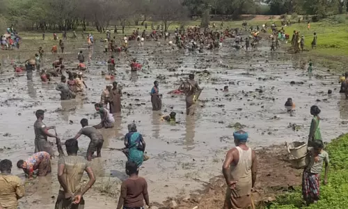 கண்மாயில் மீன்பிடி திருவிழா கண்மாயில் மீன்பிடி திருவிழா