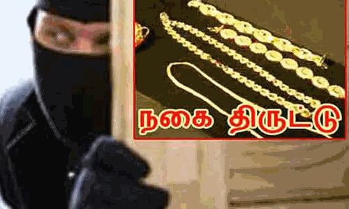 பெண்களிடம் 9 பவுன் தங்க சங்கிலிகள் பறிப்பு