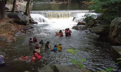 களக்காடு தலையணையில்  தண்ணீர் வரத்து அதிகரிப்பு