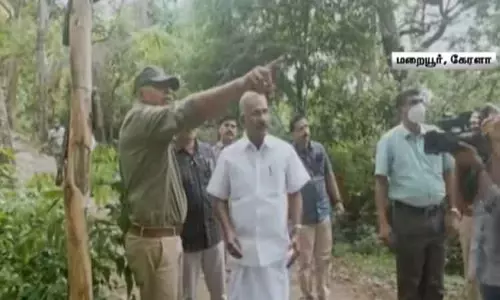 சந்தன மரங்களைத் தாக்கும் ஸ்பைக் நோய் - 2 ஆயிரம் மரங்களை வேரோடு அகற்ற கேரள வனத்துறை முடிவு