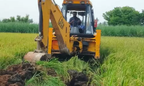 மூக்கனூர் ஏரி ஆக்கிரமிப்பு அகற்றம்