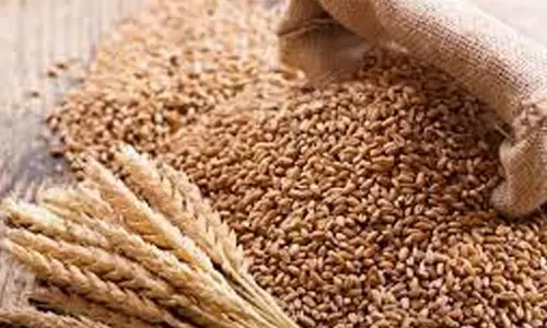 கோதுமை ஏற்றுமதிக்கு தடைவிதித்தது ஆப்கானிஸ்தான்