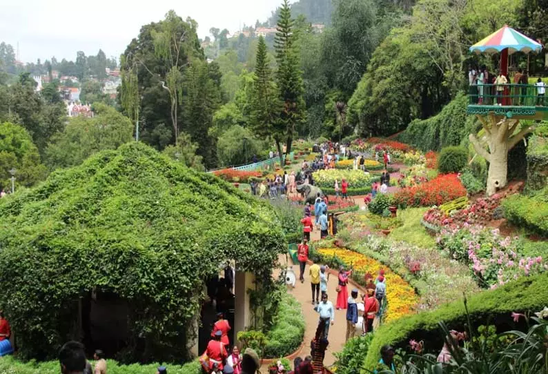 மலர் கண்காட்சியை காண ஊட்டியில் குவிந்த சுற்றுலா பயணிகள்...! மலர் கண்காட்சியை காண ஊட்டியில் குவிந்த சுற்றுலா பயணிகள்...!