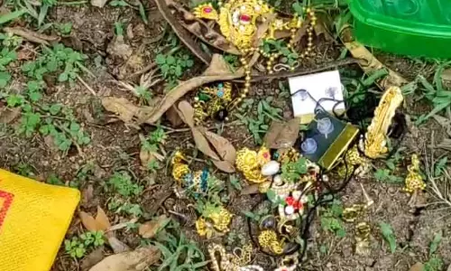 தூங்கிக்கொண்டிருந்த பெண்ணிடம் 3 பவுன் தாலி செயின் பறிப்பு