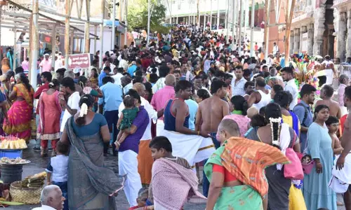 திருச்செந்தூர் கோவிலில் பக்தர்கள் குவிந்தனர்; நீண்ட வரிசையில் நின்று சாமி தரிசனம் திருச்செந்தூர் கோவிலில் பக்தர்கள் குவிந்தனர்; நீண்ட வரிசையில் நின்று சாமி தரிசனம்