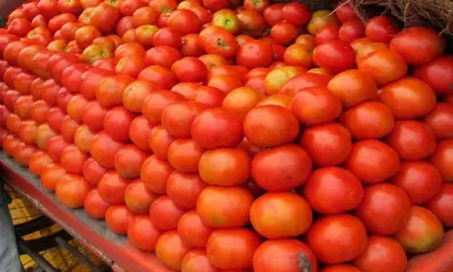 தக்காளி கிலோ ரூ.100-க்கும் விற்பனை