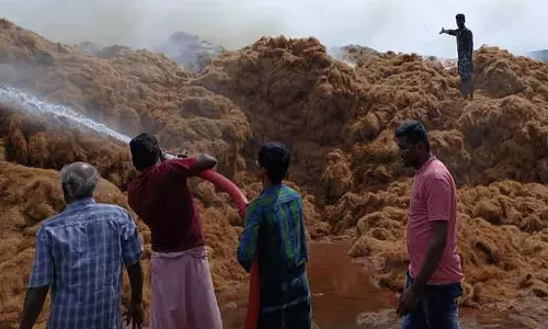 தென்னை நார் தொழிற்சாலையில் தீ விபத்து