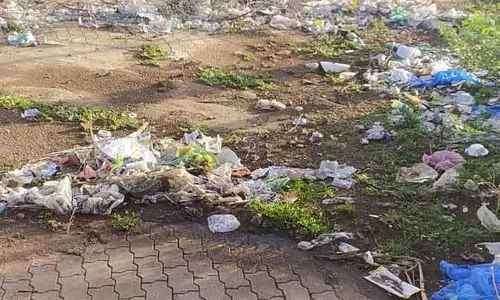 சுகாதார சீர்கேடு