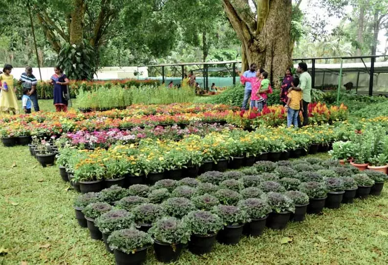 சுற்றுலா பயணிகளை வரவேற்க தயாராகும் பூங்காகள் சுற்றுலா பயணிகளை வரவேற்க தயாராகும் பூங்காகள்