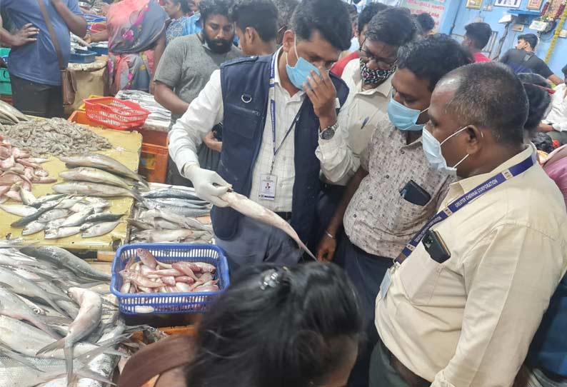Chennai 300 kg of spoiled fish seized from Chintadripet fish market