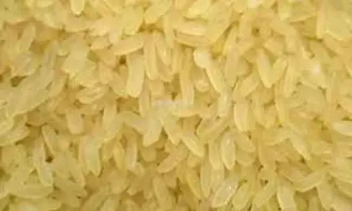 சங்கரன்கோவிலில் 1½ டன் ரேஷன் அரிசி பறிமுதல் சங்கரன்கோவிலில் 1½ டன் ரேஷன் அரிசி பறிமுதல்