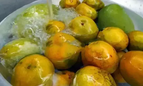மாம்பழங்களை ஏன் தண்ணீரில் ஊற வைக்க வேண்டும்? மாம்பழங்களை ஏன் தண்ணீரில் ஊற வைக்க வேண்டும்?