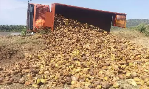 டயர் வெடித்ததில் தென்னை மட்டைகள் ஏற்றி வந்த லாரி கவிழ்ந்து விபத்து...!