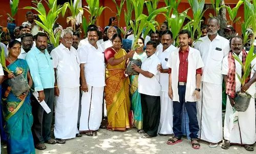 100 பேருக்கு மரக்கன்றுகள் 100 பேருக்கு மரக்கன்றுகள்