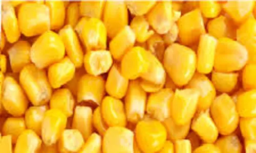 வேளாண் பொருட்களின் விலை விவரம்