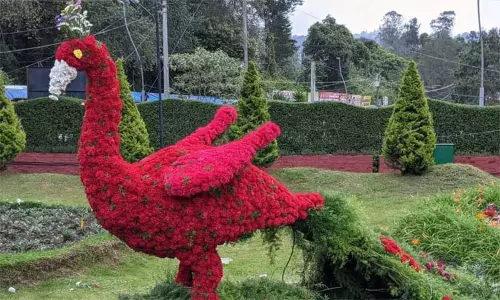 கொடைக்கானலில் கோடைவிழா, மலர் கண்காட்சி இன்று தொடங்குகிறது