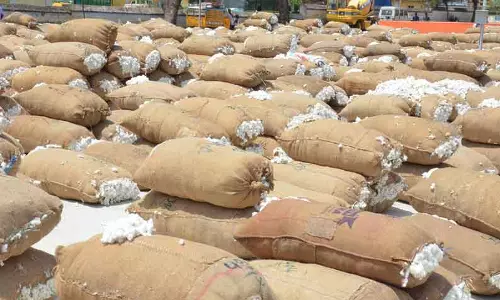 நாமக்கல்லில்  ரூ.65 லட்சத்துக்கு பருத்தி ஏலம்