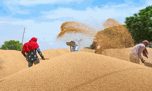 கோதுமை ஏற்றுமதிக்கான தடையை இந்தியா மறுபரிசீலனை செய்ய வேண்டும் - சர்வதேச நாணய நிதியத்தின் தலைவர் வேண்டுகோள்