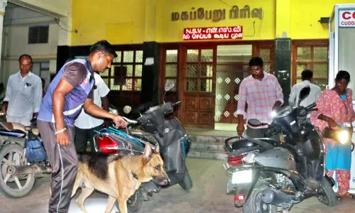 கடலூரில் பரபரப்பு அரசு ஆஸ்பத்திரிக்கு வெடிகுண்டு மிரட்டல் கடலூரில் பரபரப்பு அரசு ஆஸ்பத்திரிக்கு வெடிகுண்டு மிரட்டல்