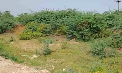 தினத்தந்தி புகார் பெட்டி தினத்தந்தி புகார் பெட்டி