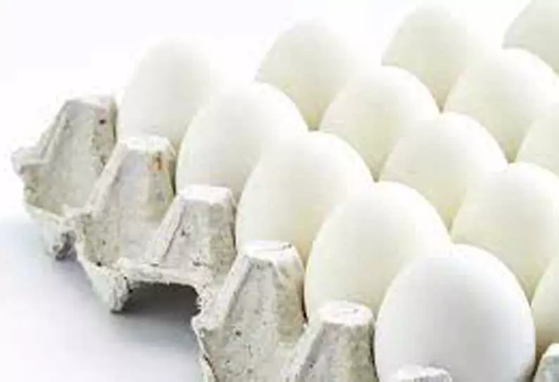 நாமக்கல் மண்டலத்தில்  முட்டை விலையை 30 காசுகள் ஏற்றி, இறக்குவதை தவிர்க்க வேண்டும்  பண்ணையாளர்கள் வலியுறுத்தல்