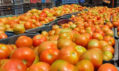 தக்காளி  விலை குறைந்தது