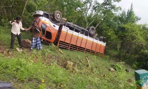 தாளவாடி அருகே சரக்கு வேன் கவிழ்ந்து விபத்து  டிரைவர் காயம்
