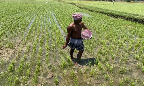 விவசாயிகளுக்கு இடுபொருட்கள்