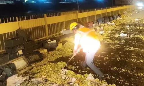 திராட்சைப்பழம் ஏற்றி வந்த வேன் கவிழ்ந்து விபத்து - சாலையில் ஆறாக ஓடிய திராட்சை ரசம்...!