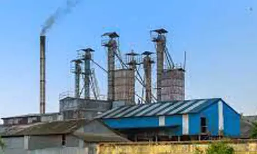 நேரடி நெல் கொள்முதல் நிலையங்களில் சங்கிலி மேலாண்மை திட்டம்: தனியார் அரவை ஆலைகள் விருப்ப கடிதம் கொடுக்கலாம் கலெக்டர் தகவல் நேரடி நெல் கொள்முதல் நிலையங்களில் சங்கிலி மேலாண்மை திட்டம்: தனியார் அரவை ஆலைகள் விருப்ப கடிதம் கொடுக்கலாம் கலெக்டர் தகவல்