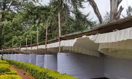 சிம்ஸ் பூங்காவில் நாளை மறுநாள் பழக்கண்காட்சி