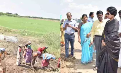 ரூ.2.6 கோடி மதிப்பில் பாசன வாய்க்கால்கள் தூர்வாரும் பணி ரூ.2.6 கோடி மதிப்பில் பாசன வாய்க்கால்கள் தூர்வாரும் பணி