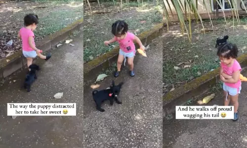 சிறுமியின் லாலி பாப் மிட்டாயை குட்டி நாய் பறித்து சென்ற லாவகம்; வைரலான வீடியோ சிறுமியின் லாலி பாப் மிட்டாயை குட்டி நாய் பறித்து சென்ற லாவகம்; வைரலான வீடியோ