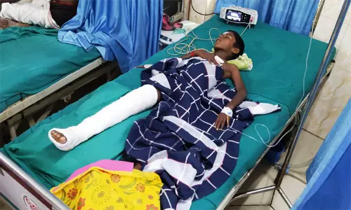 பழனி அருகே காட்டுயானை தாக்கி சிறுவன் படுகாயம் பழனி அருகே காட்டுயானை தாக்கி சிறுவன் படுகாயம்