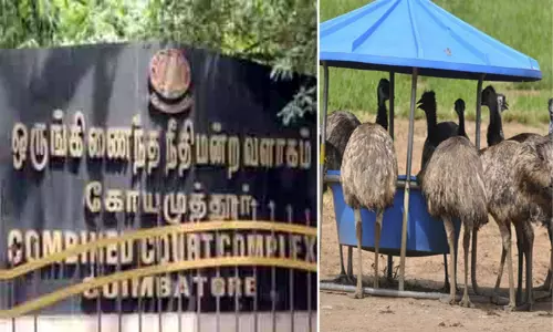 ரூ.4¼ கோடி மோசடி வழக்கு: ஈமு கோழி உரிமையாளர்களுக்கு 3 ஆண்டு சிறை