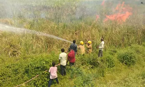 ஓமலூர் அருகே 20 ஏக்கர் கரும்பு தோட்டம் தீயில் எரிந்து சேதம் ஓமலூர் அருகே 20 ஏக்கர் கரும்பு தோட்டம் தீயில் எரிந்து சேதம்