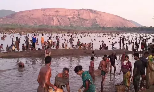 மேலூர் அருகே பரம்பு கண்மாயில் பாரம்பரியமிக்க மீன்பிடித் திருவிழா மேலூர் அருகே பரம்பு கண்மாயில் பாரம்பரியமிக்க மீன்பிடித் திருவிழா