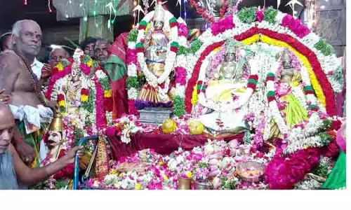 சாந்தநாத சாமி கோவிலில் திருக்கல்யாணம் சாந்தநாத சாமி கோவிலில் திருக்கல்யாணம்