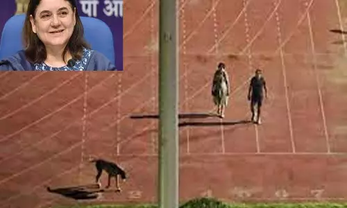 மைதானத்தில் நடைபயிற்சி: ஐஏஎஸ் தம்பதி மீதான குற்றச்சாட்டுகள் அனைத்தும் போலியானவை - பாஜக எம்.பி.