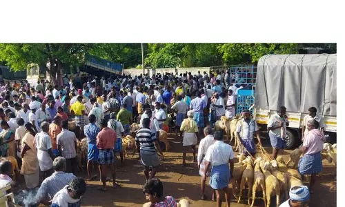 கொங்கணாபுரம் வாரச்சந்தையில் ரூ.5 கோடிக்கு வர்த்தகம்