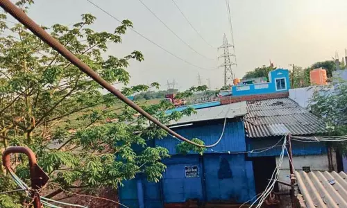 திருவொற்றியூரில் உயர் மின் அழுத்த கம்பி அறுந்து வீடுகள் மீது விழுந்ததால் பரபரப்பு திருவொற்றியூரில் உயர் மின் அழுத்த கம்பி அறுந்து வீடுகள் மீது விழுந்ததால் பரபரப்பு