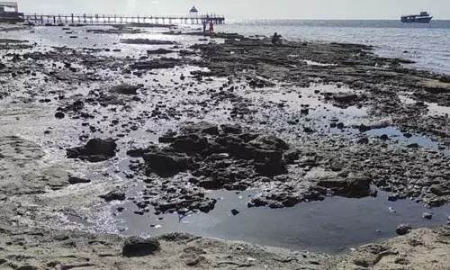 திடீரென 100 மீட்டர் தூரம் உள்வாங்கிய ராமேசுவரம் கடல் - பாறைகள் தென்பட்டதால் பதறிய பக்தர்கள்...!