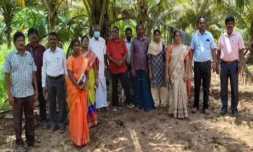 கஞ்சம்பட்டியில் தென்னை வேர்வாடல் நோய் குறித்து விழிப்புணர்வு