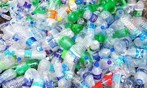 பழனி-சவரிக்காடு மலைப்பாதையில் 250 கிலோ பிளாஸ்டிக் குப்பைகள் அகற்றம்