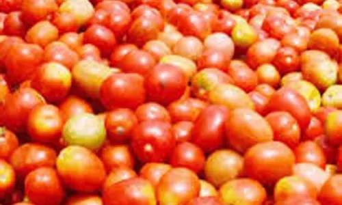 நாமக்கல் உழவர்சந்தையில் தக்காளி கிலோ ரூ.40-க்கு விற்பனை நாமக்கல் உழவர்சந்தையில் தக்காளி கிலோ ரூ.40-க்கு விற்பனை