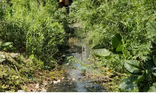 பொதுப்பணித்துறை அலுவலகத்தை முற்றுகையிட்டு போராட்டம் பொதுப்பணித்துறை அலுவலகத்தை முற்றுகையிட்டு போராட்டம்