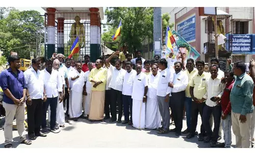 தலைவராக டாக்டர் அன்புமணி ராமதாஸ் தேர்வு:  பா.ம.க. தொண்டர்கள் இனிப்பு வழங்கி கொண்டாட்டம்