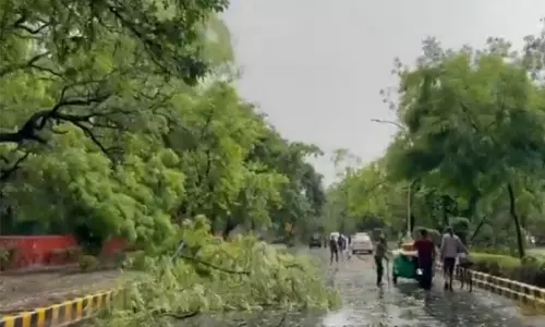 டெல்லியில் கொட்டித் தீர்த்த கனமழை! பலத்த காற்றால் மரங்கள் வேரோடு சாய்ந்தன; போக்குவரத்து பாதிப்பு!