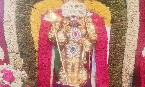 அமாவாசையையொட்டி  காளிப்பட்டி கந்தசாமி கோவிலில் சிறப்பு வழிபாடு