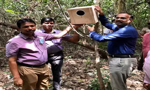 அழிந்து வரும் ஆந்தைகளை பாதுகாக்க கூண்டுகள் வைப்பு